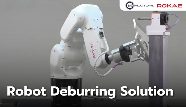 Solution Robot Deburring
